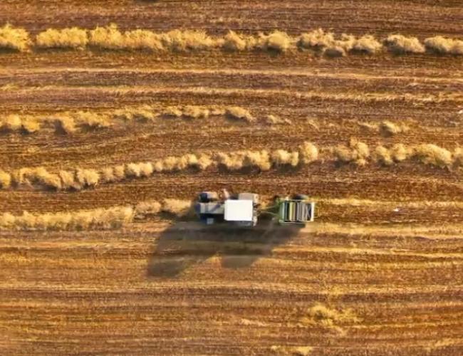 Agricultural biomass